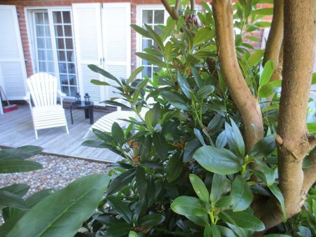 Luft Und Meer 4**** Ferienwohnung Hage Bagian luar foto