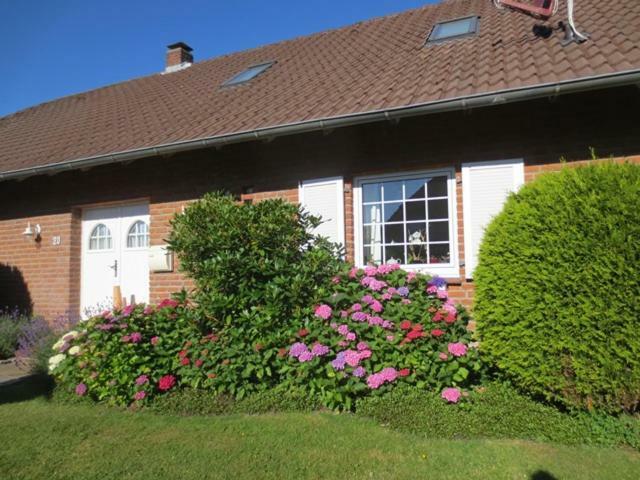 Luft Und Meer 4**** Ferienwohnung Hage Bagian luar foto